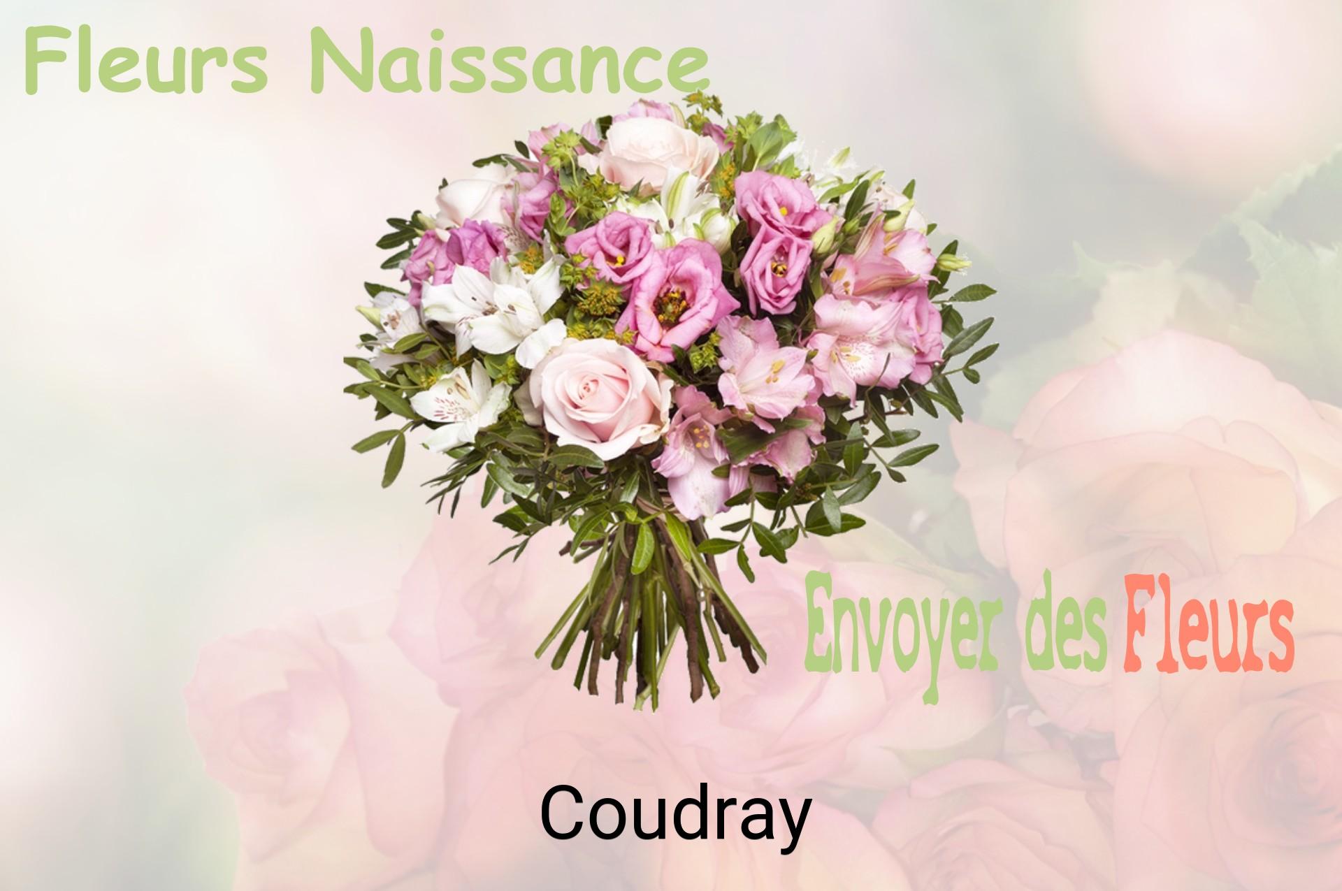 Bouquet de fleurs de naissance livré à Coudray